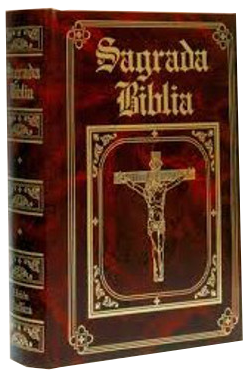Sagrada Biblia Edición Católica  (Monseñor Juan Straubinger/24.7x18 cm)
