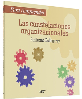 Para comprender las constelaciones organizacionales