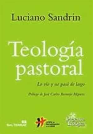 Teología pastoral, lo vio y no pasó de largo